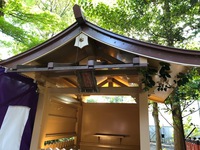 kyoto (64).jpg